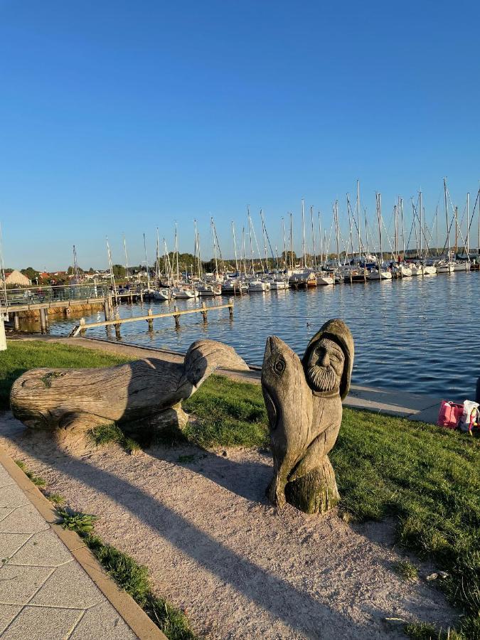 Top Ferienwohnung In Rerik - Nahe Salzhaff & Ostsee - Mit Gartenterrasse Exteriér fotografie